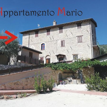 Appartamenti Cardinali Ασίζη Εξωτερικό φωτογραφία