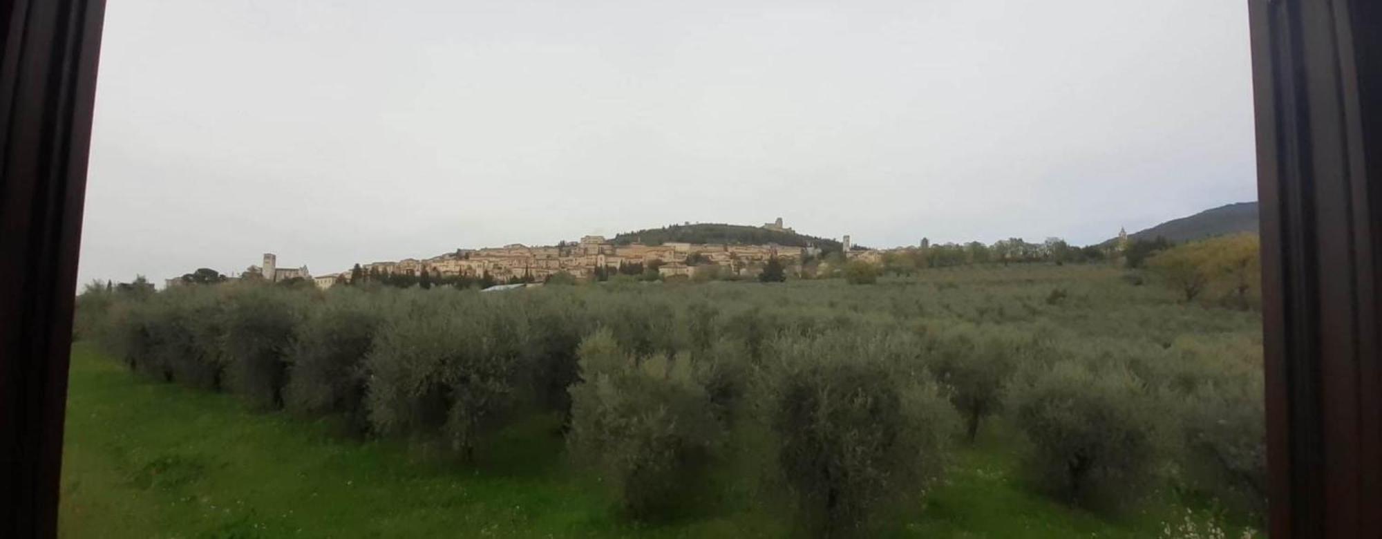 Appartamenti Cardinali Ασίζη Εξωτερικό φωτογραφία